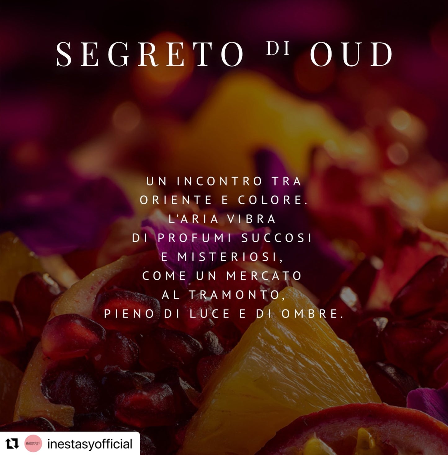 SEGRETO DI OUD