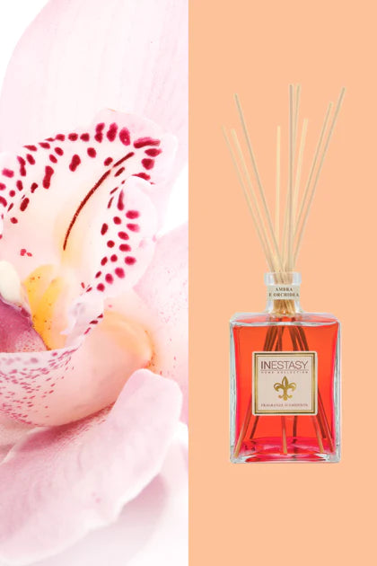 ๐ฃ๐ผ๐น๐๐ฒ๐ฟ๐ฒ ๐ฑโ๐๐บ๐ฏ๐ฟ๐ฎ ๐ฒ ๐ข๐ฟ๐ฐ๐ต๐ถ๐ฑ๐ฒ๐ฎ