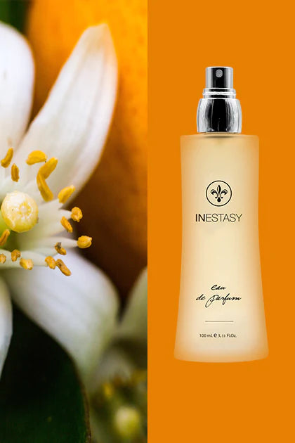 Aromatico Risveglio (n.108)