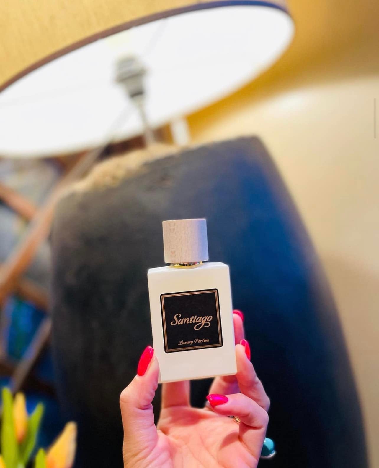 Eiffel Santiago Luxury